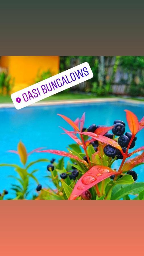 Отель Oasi Bungalows Гили-Эйр Экстерьер фото